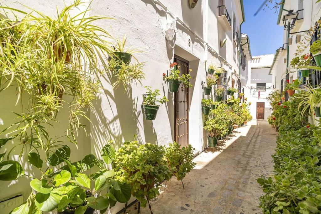 Casa Con Patio Y Terraza En Barrio Historico De La Villa, Junto Al Adarve Priego de Córdoba Eksteriør billede